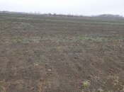 Продаётся  участок 180 сот, photo 2 from 4