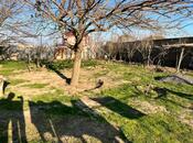 Объявление №5935844 - Баку, пос. Балаханы, 2 сот