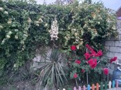 Сдаётся 3-комн. дом/дача 90 м², пос. Мардакан, photo 7 from 8