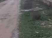 Продаётся  участок 5.2 сот, пос. Шаган, photo 2 from 5