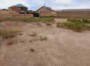 Продаётся  участок 6 сот, пос. Бина, photo 4 from 8