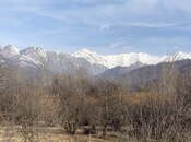 Объявление №5936720 - Габала, Габала, 132 сот