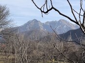 Satılır  torpaq 132 sot, photo 2 from 4