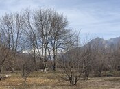 Satılır  torpaq 132 sot, photo 3 from 4