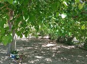 Satılır 3 otaqlı həyət evi/bağ evi 12 m², Qala q., photo 7 from 8