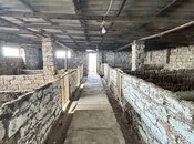 İcarəyə verilir  obyekt 2 500 m², Türkan q., photo 5 from 8