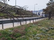 Продаётся  участок 12 сот, пос. Бадамдар, photo 3 from 6