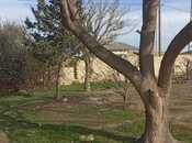 Elan №5936918 - Sumqayıt, Sumqayıt, 11 sot