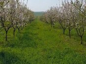 Продаётся  участок 1 200 сот, photo 5 from 6