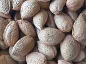 Продаётся  участок 1 200 сот, photo 2 from 6