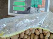 Продаётся  участок 1 200 сот, photo 4 from 6