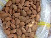 Продаётся  участок 1 200 сот, photo 3 from 6