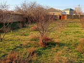 Satılır  torpaq 12 sot, photo 1 from 3