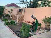 Satılır 5 otaqlı həyət evi/bağ evi 200 m², Novxanı q., photo 7 from 8