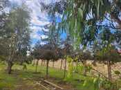 Продаётся  участок 5 сот, Бинагадинский р., photo 4 from 5