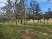 Продаётся  участок 5 сот, Бинагадинский р., photo 2 from 5