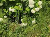 Продаётся 5-комн. дом/дача 100 м², Хачмазский р., photo 6 from 8