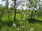 Продаётся 5-комн. дом/дача 100 м², Хачмазский р., photo 2 from 8