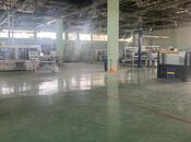 Продаётся  объект 12 000 м², пос. Бакиханова, photo 7 from 8