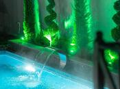 İcarəyə verilir 3 otaqlı həyət evi/bağ evi 300 m², photo 2 from 8