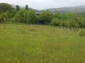 Продаётся  участок 50 сот, photo 6 from 6