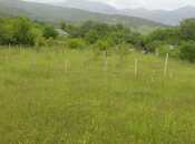 Объявление №5938480 - Исмаиллы, Исмаиллы, 50 сот