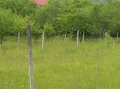 Продаётся  участок 50 сот, photo 3 from 6