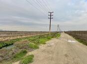 Продаётся  участок 2 400 сот, Сураханский  р., photo 7 from 8