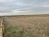 Продаётся  участок 2 400 сот, Сураханский  р., photo 2 from 8