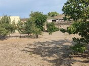 Продаётся  участок 12 сот, пос. Шувеляны, photo 4 from 4