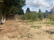 Продаётся  участок 17 сот, пос. Новханы, photo 2 from 8