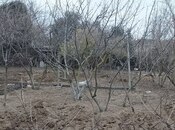 Elan №5938964 - Bakı, Qala q., 4 sot