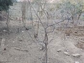 Satılır  torpaq 4 sot, Qala q., photo 8 from 8