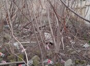 Продаётся  участок 2.7 сот, м. Насими, photo 2 from 4