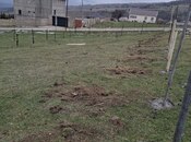 Продаётся  участок 4.2 сот, photo 3 from 8