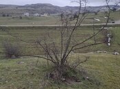 Продаётся  участок 80 сот, photo 8 from 8