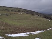 Продаётся  участок 80 сот, photo 4 from 8