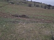 Продаётся  участок 80 сот, photo 5 from 8