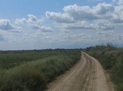 Satılır  torpaq 257 sot, photo 4 from 8