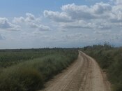 Satılır  torpaq 257 sot, photo 5 from 8