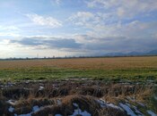 Satılır  torpaq 35 sot, photo 2 from 8