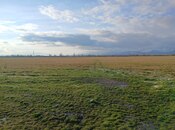 Elan №5939494 - Qəbələ, Qəbələ, 35 sot