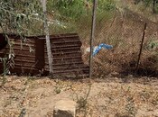 Объявление №5939506 - Баку, пос. Сарай, 4 сот