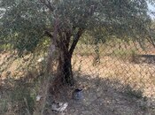 Продаётся  участок 4 сот, пос. Сарай, photo 5 from 5