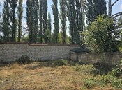 Elan №5939562 - Qəbələ, Qəbələ, 5 sot