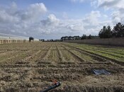 Elan №5939649 - Bakı, Maştağa q., 100 sot