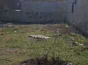 Объявление №5939676 - Баку, пос. Рамана, 4 сот