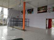 Продаётся  объект 300 м², Набрань р., photo 4 from 5