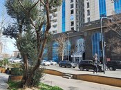 Сдаётся  объект 15 м², м. Элмляр Академиясы, photo 7 from 8