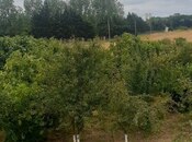 Объявление №5939831 - Хачмаз, Хачмаз, 10 сот